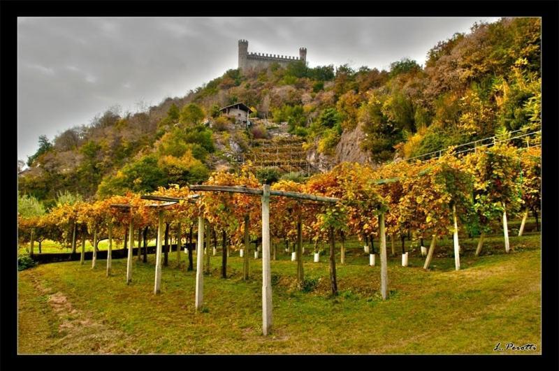 Bed and Breakfast Comunita' Ospitali Bidrino Borgofranco d'Ivrea Exteriér fotografie